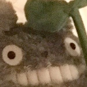 Meet your Posher, Bella